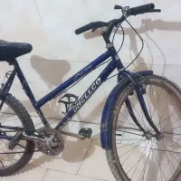 دوچرخه دندهی در حدنو