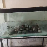 آکواریوم