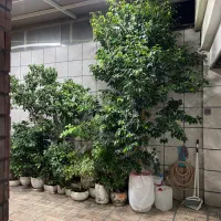 شهرک شریعتی خانه ویلایی۹۰ متری