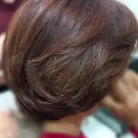 تعدادی مدل رایگان