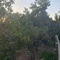 فروش|فروش خانه و ویلا|کوهسار (البرز), |دیوار