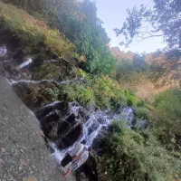توربانوان