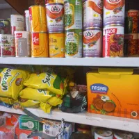 تخفیف ویژه شوینده و مواد غذایی|خوردنی و آشامیدنی|کرمان, |دیوار