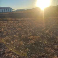 زمین زراعی مناسب دامداری و انباری