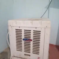 لوازم منزل|فرش|ملکآباد, |دیوار