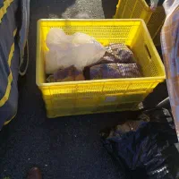 سبد پلاستیکی بزرگ