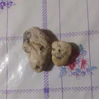 دو سنگ صورت دار فوق نایاب و کلکسیونی کاملا طبیعی