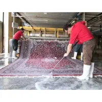 کارگر برای قالیشویی