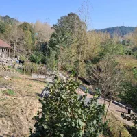 اجاره روزانه سوییت لفور