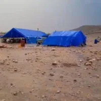 میش بز کهره بره مرتع ییلاق قشلاق