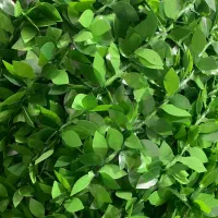 فنس چمنی برگ ریحونی مونتاژ ایران ضد آب و نور آفتاب|مصالح و تجهیزات ساختمان|رشت, کوی عرفان|دیوار