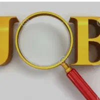 دنبال کار میکردم