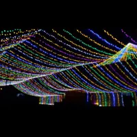 نورپردازی و ریسه ونوس|ریسه و چراغ تزئینی|بندرعباس, |دیوار