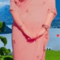 ساری هندی پارچه حریر سوزندوزی شده اصل|لباس|کرمان, |دیوار