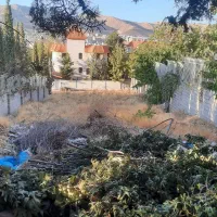 باغشهر-خاص-کوچه-گرینلند