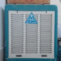 کولرابی درحدنو