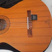 گیتار|گیتار، بیس، امپلیفایر|نجف‌آباد, یزدانشهر|دیوار