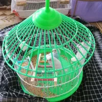 فروش یک عدد قفس شیک