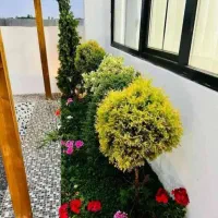 خدمات کلیه باغبانی باغچه کاری گل کاری کاشت گل وگیا|خدمات باغبانی و درختکاری|اسلامشهر, باغ فیض|دیوار