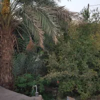 خانه-قدیمی-بزرگ