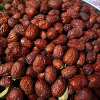 عناب نرم تازه امسالی و عناب خشک پارسال