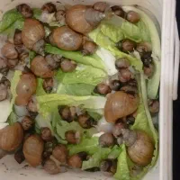 کسب درآمد|خزنده|کرمانشاه, |دیوار