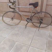 دوچرخه حرفه ای کورسی الگانس