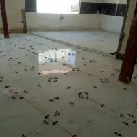 کاشیکاری|خدمات پیشه و مهارت|بروجرد, |دیوار