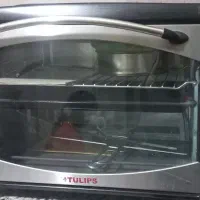 فربرقی Tulips