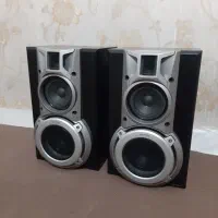 بلندگو باند خانگی **