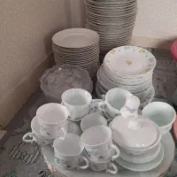 آرکوپال و چینی