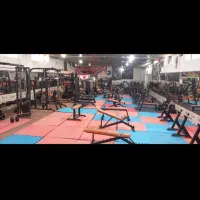 تمام وسایل باشگاه فروشی