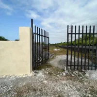 زمین جنب نمک ابرود/۳۰٪ زیر قیمت مالک هستم|فروش زمین و ملک کلنگی|چالوس, |دیوار