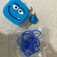 محافظ شارژر