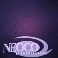گن شورتی neoco