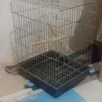 قفس پرنده