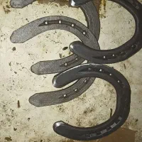 نعل اسب کهنه پاخورده|اسب و تجهیزات اسب‌سواری|تهران, خلیج فارس|دیوار