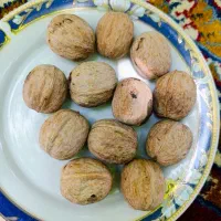 گردو