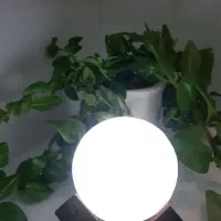 فروش انواع نمک های خوراکی و تزیینی|صنایع دستی و سایر لوازم تزئینی|بروجن, |دیوار