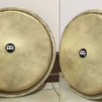پوست بانگو