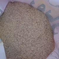 فروش برنج رویال|خوردنی و آشامیدنی|قوچان, |دیوار