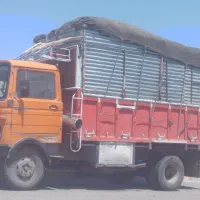 کاه درجه یک