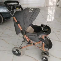 کالسکه دلیجان