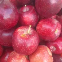 نیازمند راهنمایی