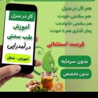 کسب و کار خانگی