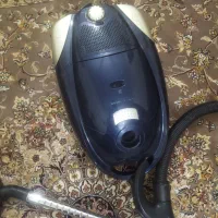 دوتا گل بسیار بزرگ شاداب باهم فقط یک میلیون وجاروب|گل و گیاه طبیعی|شیراز, ریاستی|دیوار