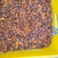 خریدار ضایعات خرما
