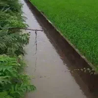 زمین کشاورزی رشت|فروش دفتر صنعتی، کشاورزی، تجاری|تولم شهر, |دیوار