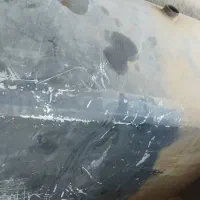 مغزن مخصوص سمند گازویلی گالوانیزه600لیتری هندیجان|قطعات یدکی و لوازم جانبی|هندیجان, |دیوار