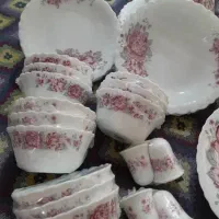 سرویس ۱۲ نفره ارکوپال